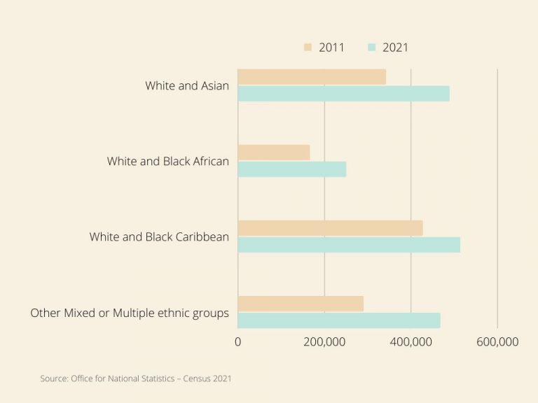 UK CENSUS RACE CATEGORIES visual data 8